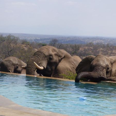 Mbizi Bush Lodge Grietjie Game Reserve Exterior foto