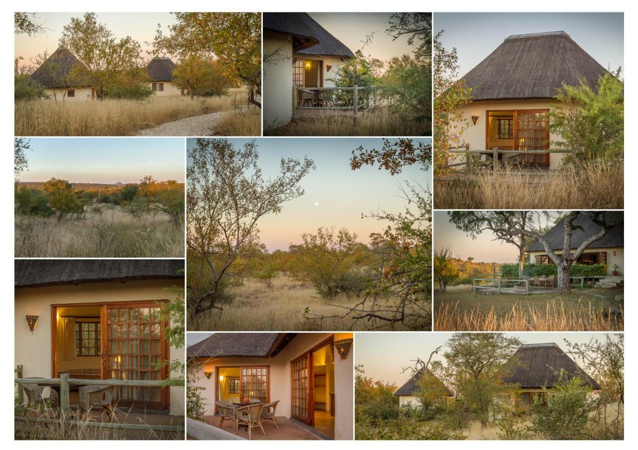 Mbizi Bush Lodge Grietjie Game Reserve Exterior foto